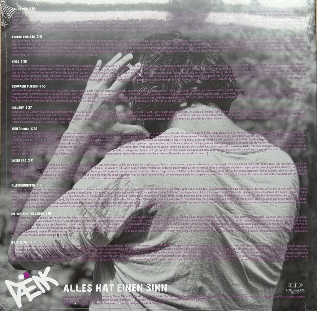 Daenk - Alles hat einen Sinn (Vinyl)