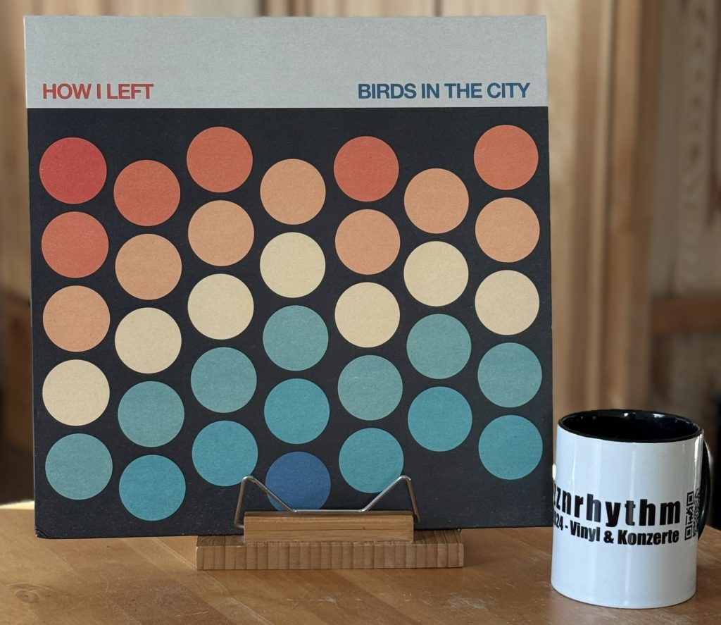 How I left - Birds in the City