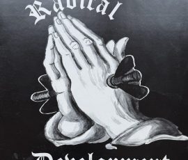 Radical Development Radical Development