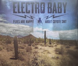 Electro Baby - Flies are happy about Coyote shit Electro Baby - Flies are happy about Coyote shit