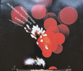 Kammerorchester des Bismarck-Gymnasiums: Leitung Martin Neumann Kammerorchester des Bismarck-Gymnasiums: Leitung Martin Neumann